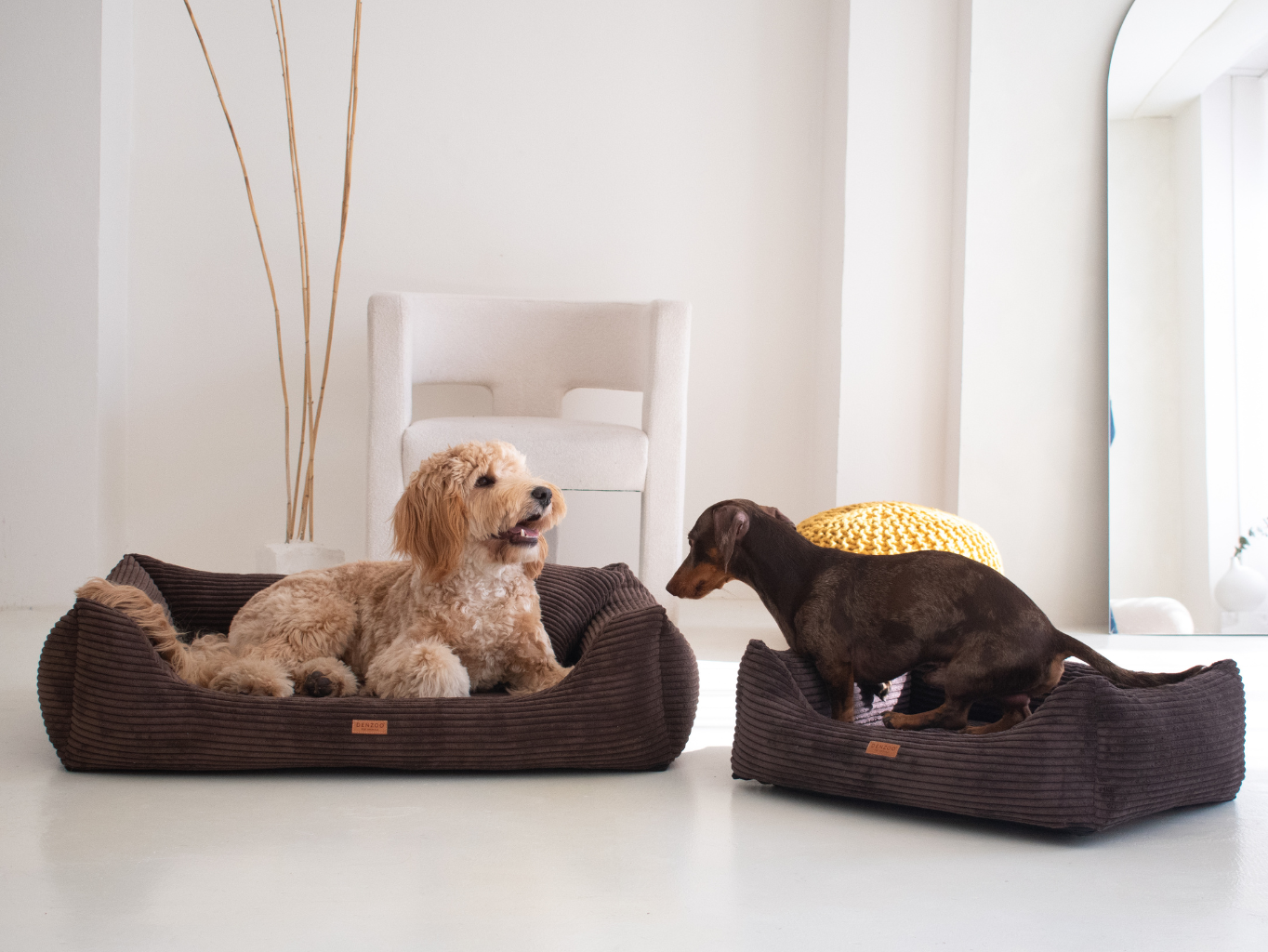 ortopedicky pelisek rimini